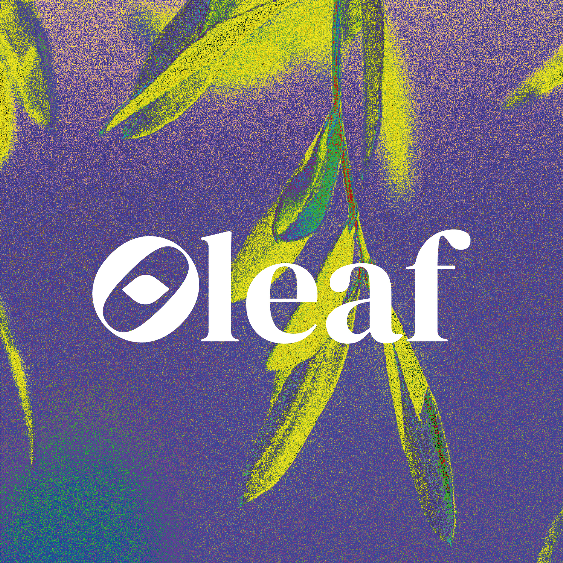 oleaf-rebrand
